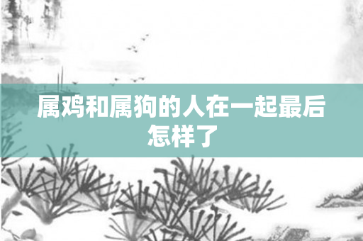 属鸡和属狗的人在一起最后怎样了