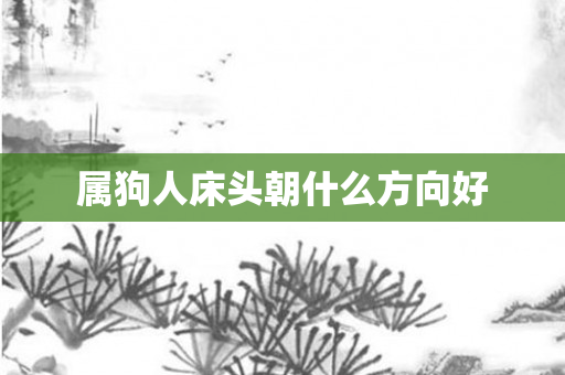 属狗人床头朝什么方向好
