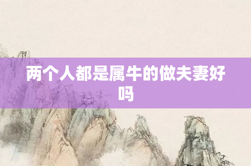 两个人都是属牛的做夫妻好吗
