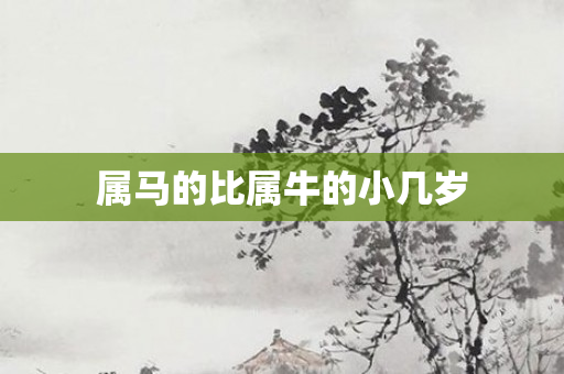 属马的比属牛的小几岁