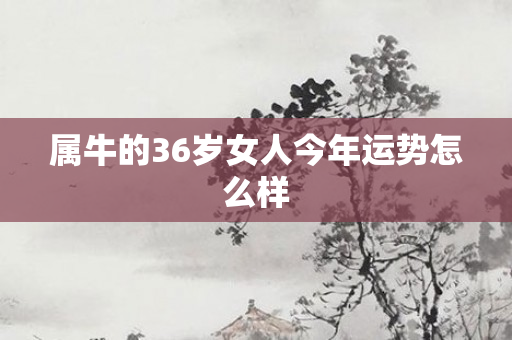 属牛的36岁女人今年运势怎么样