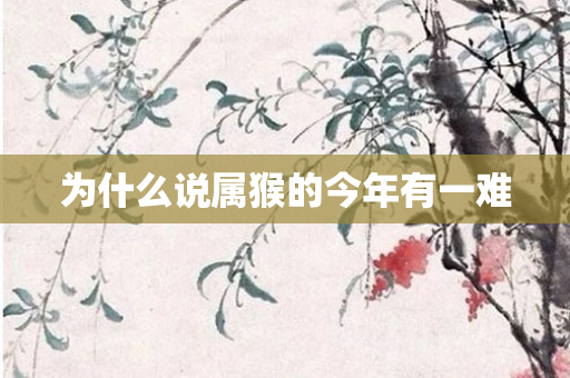 为什么说属猴的今年有一难
