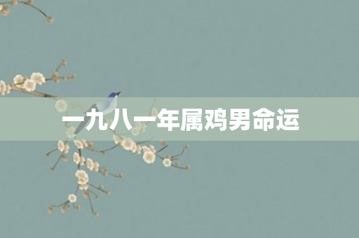 一九八一年属鸡男命运