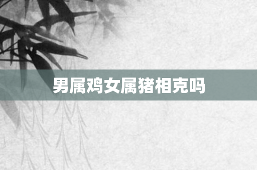 男属鸡女属猪相克吗