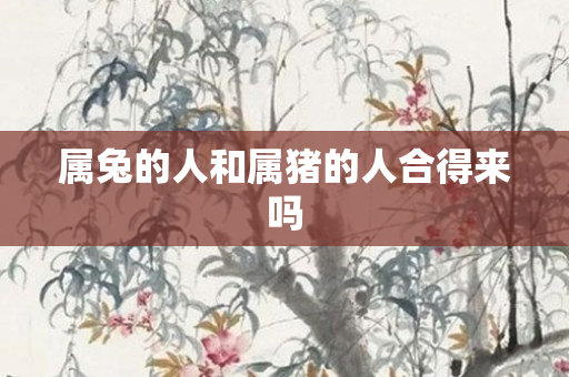 属兔的人和属猪的人合得来吗