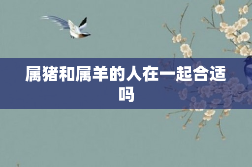 属猪和属羊的人在一起合适吗