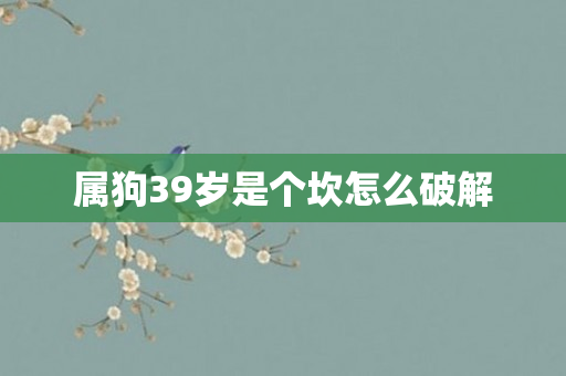 属狗39岁是个坎怎么破解