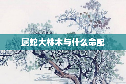 属蛇大林木与什么命配
