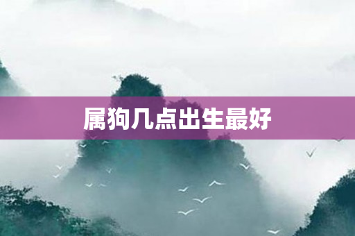 属狗几点出生更好