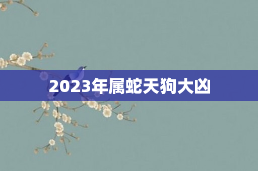 2023年属蛇天狗大凶