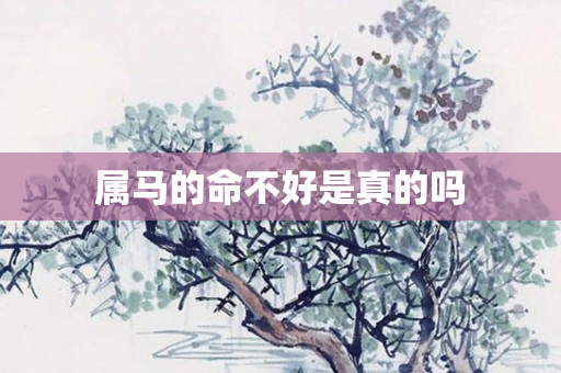 属马的命不好是真的吗
