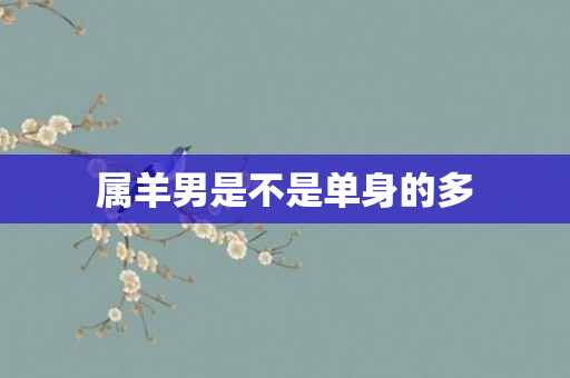 属羊男是不是单身的多