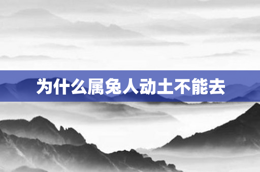 为什么属兔人动土不能去