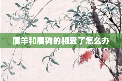 属羊和属狗的相爱了怎么办
