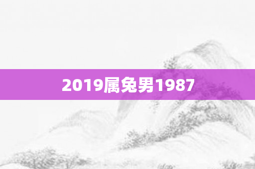 2019属兔男1987