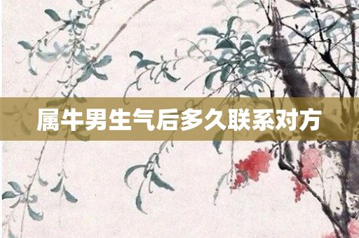 属牛男生气后多久联系对方