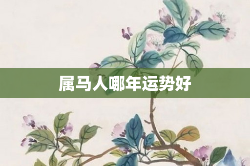 属马人哪年运势好