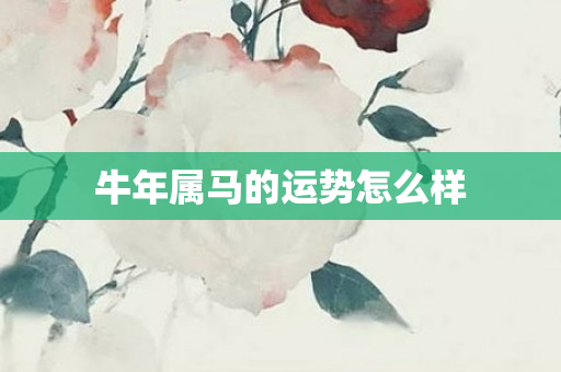 牛年属马的运势怎么样