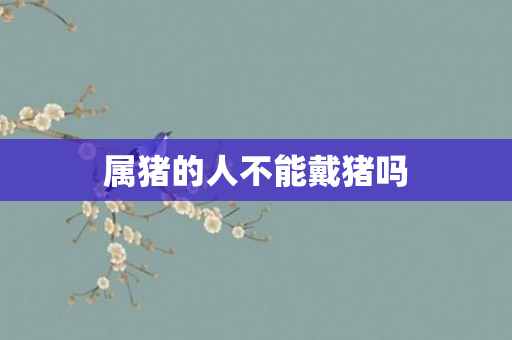 属猪的人不能戴猪吗