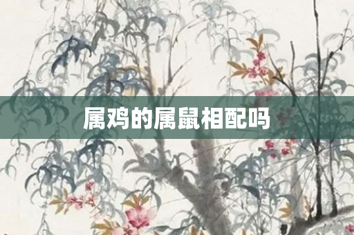 属鸡的属鼠相配吗