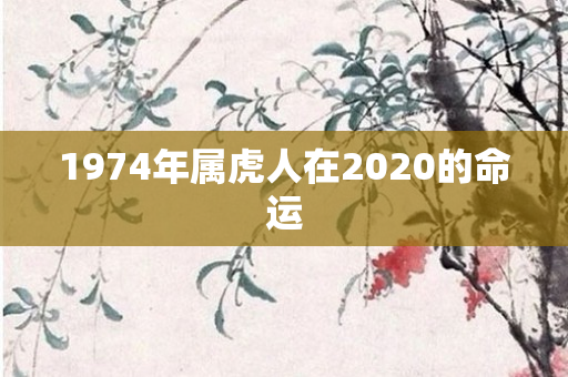 1974年属虎人在2020的命运