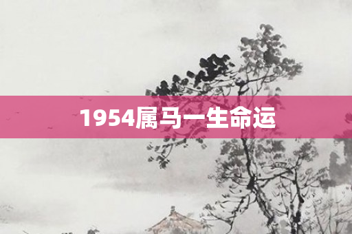 1954属马一生命运