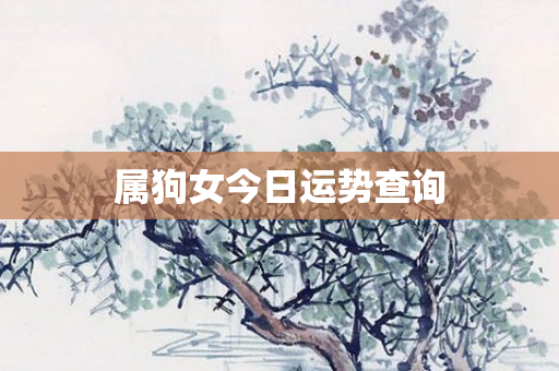 属狗女今日运势查询