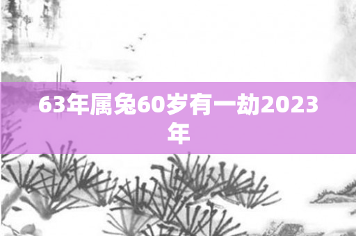 63年属兔60岁有一劫2023年