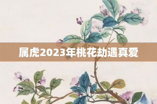 属虎2023年桃花劫遇真爱