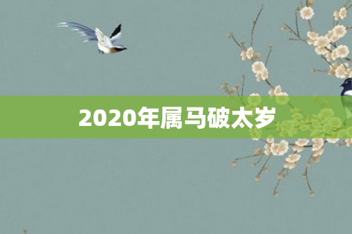 2020年属马破太岁