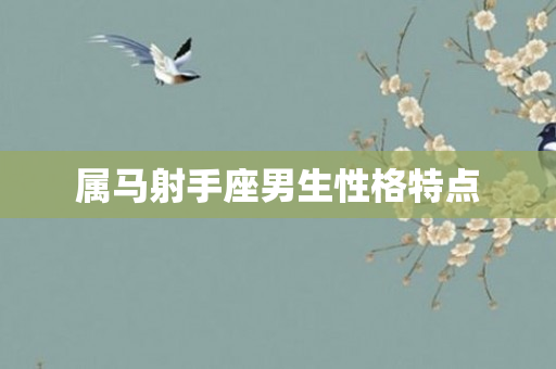 属马射手座男生性格特点