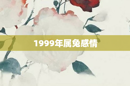 1999年属兔感情