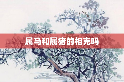 属马和属猪的相克吗