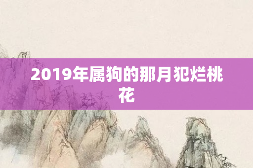 2019年属狗的那月犯烂桃花