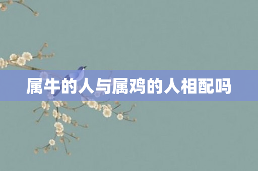 属牛的人与属鸡的人相配吗