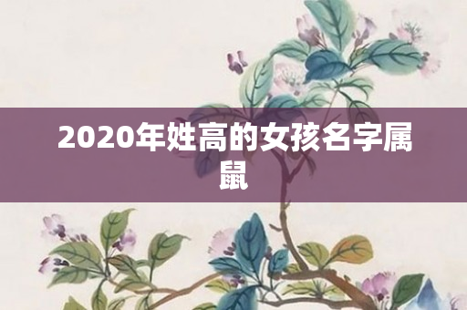 2020年姓高的女孩名字属鼠