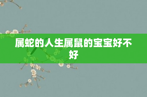 属蛇的人生属鼠的宝宝好不好