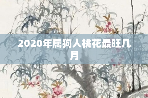 2020年属狗人桃花最旺几月