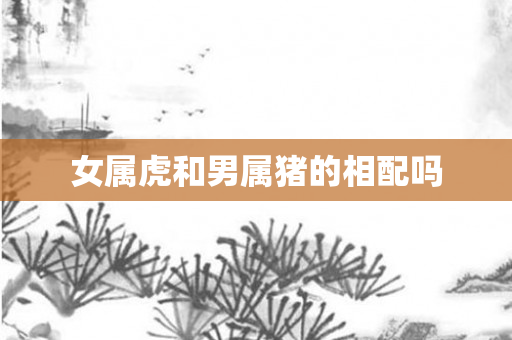 女属虎和男属猪的相配吗