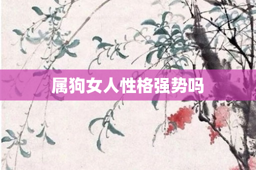 属狗女人性格强势吗