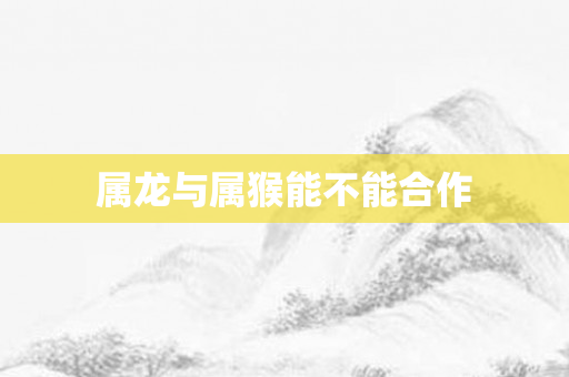属龙与属猴能不能合作