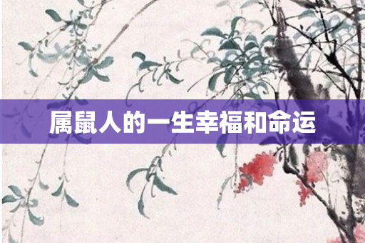 属鼠人的一生幸福和命运
