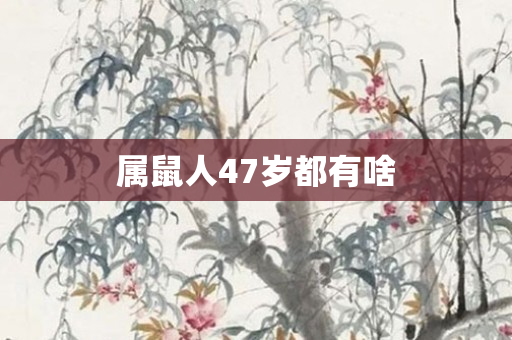 属鼠人47岁都有啥