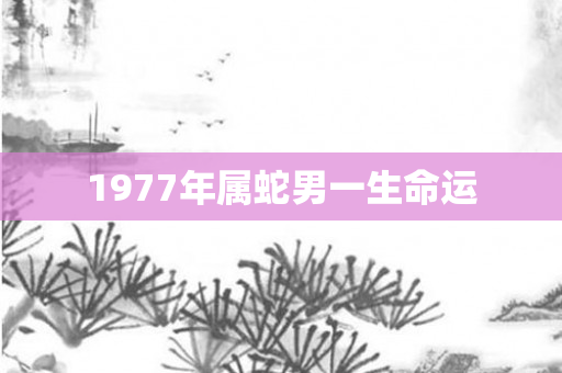 1977年属蛇男一生命运