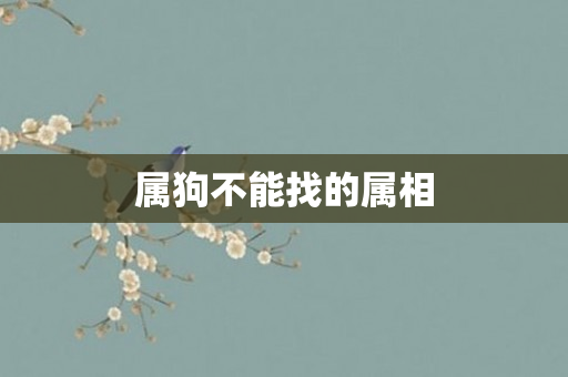 属狗不能找的属相