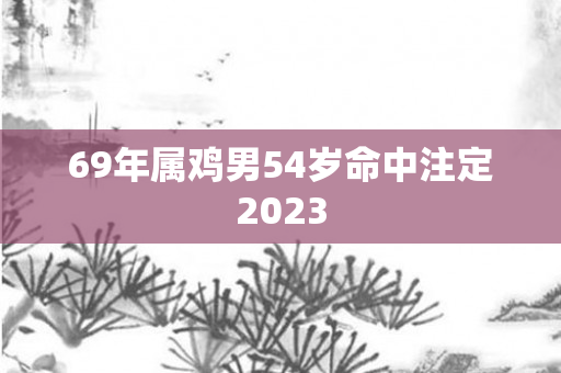 69年属鸡男54岁命中注定2023
