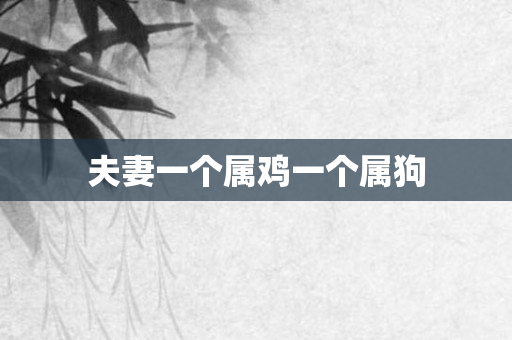 夫妻一个属鸡一个属狗