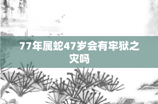 77年属蛇47岁会有牢狱之灾吗