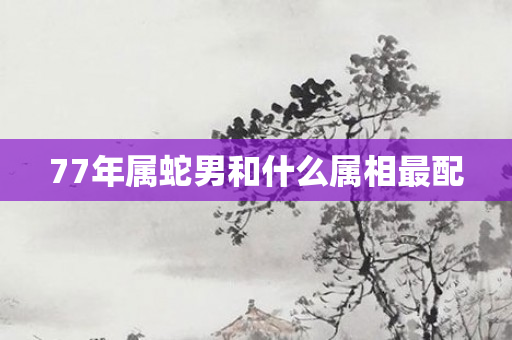 77年属蛇男和什么属相最配