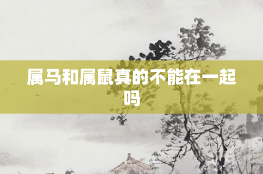 属马和属鼠真的不能在一起吗